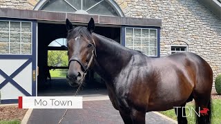 Mo Town The Next Star For Sire Of Sires Uncle Mo?