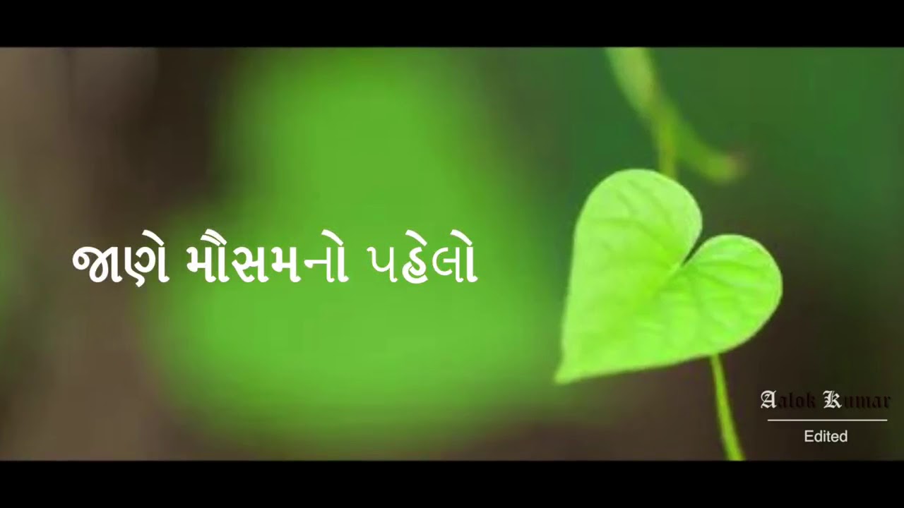 Pan Lilu Joyu Ne Tame Yad Aaviya with Lyrics  whatsapp status