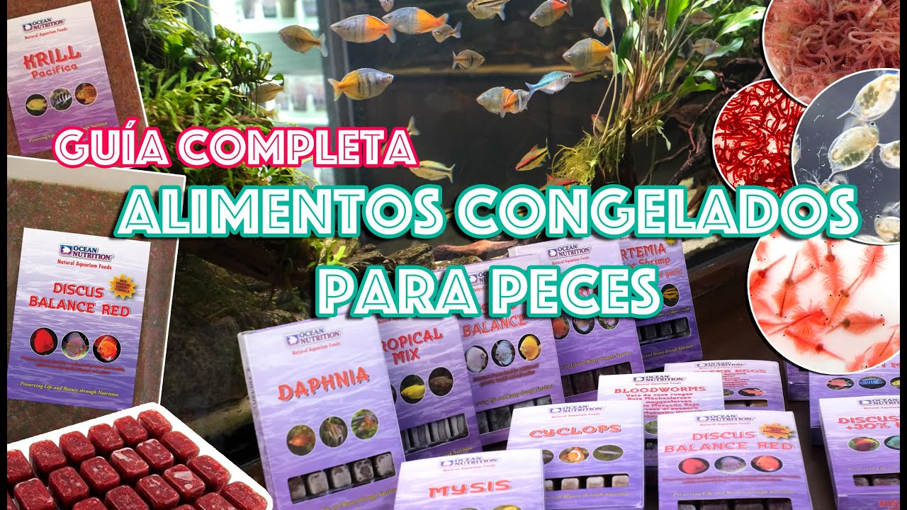 Guía de alimentos naturales ultracongelados para peces del acuario, tipos y forma de suministrarlos.