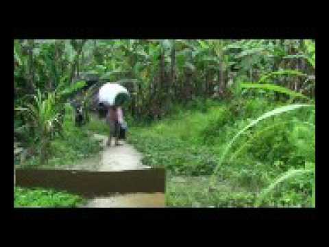 Bowo Sebua soundtrack film Nias