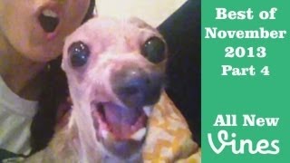 Best Vines of November 2013 - Compilation Part 4 (80 Total)