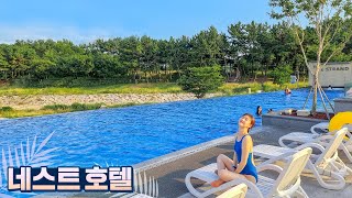 국내최초 디자인호텔스 멤버 독보적 감성 돋는 네스트 호텔(Nest Hotel) 이색 벙커룸 리뷰!