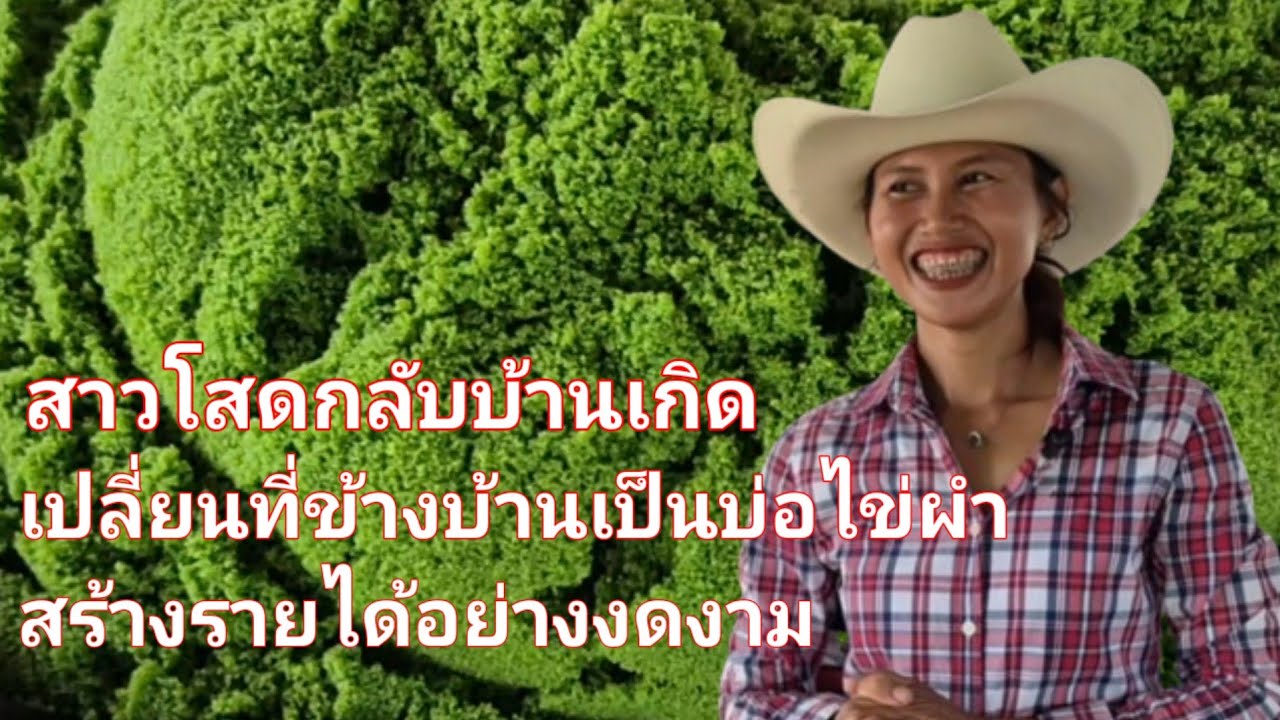 ไข่ผำ  พืชน้ำมหัศจรรย์ อาหารแห่งอนาคต ต.ท่าสว่าง อ.เมือง จ.สุรินทร์