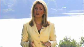 Difference Between Allergies, Colds & Sinus Infections