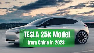 The 25k Tesla Model will come sooner than expected!