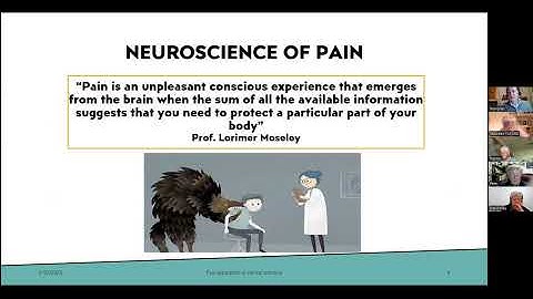 The role of Patient Education in Recovery from Persistent Pain - a Neuroscience Perspective
