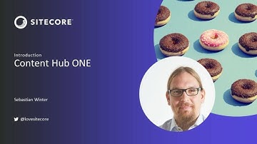 Sitecore Content Hub ONE: Introduction for Developers