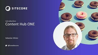 Sitecore Content Hub ONE: Introduction for Developers