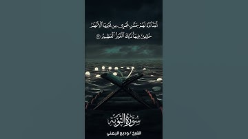 سورة التوبة | At-Tawbah | آية 89 | الشيخ وديع اليمني
