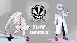 Slow Downer