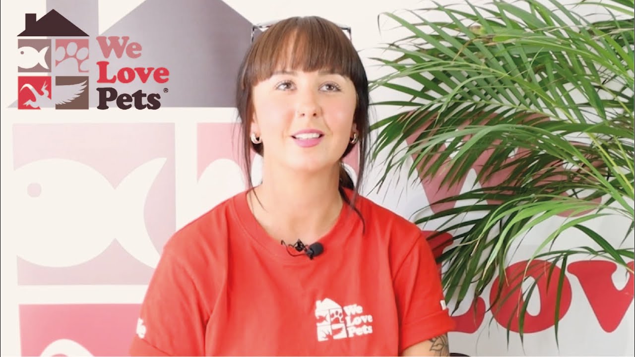 Our Franchisee talk about the Support offered to them at We Love Pets YouTube
