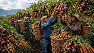 Inside Processing 20 Wild Heirloom Root Vegetables — Ultimate Treasure for Growers