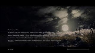 Sekiro™: Shadows Die Twice_20220102140035