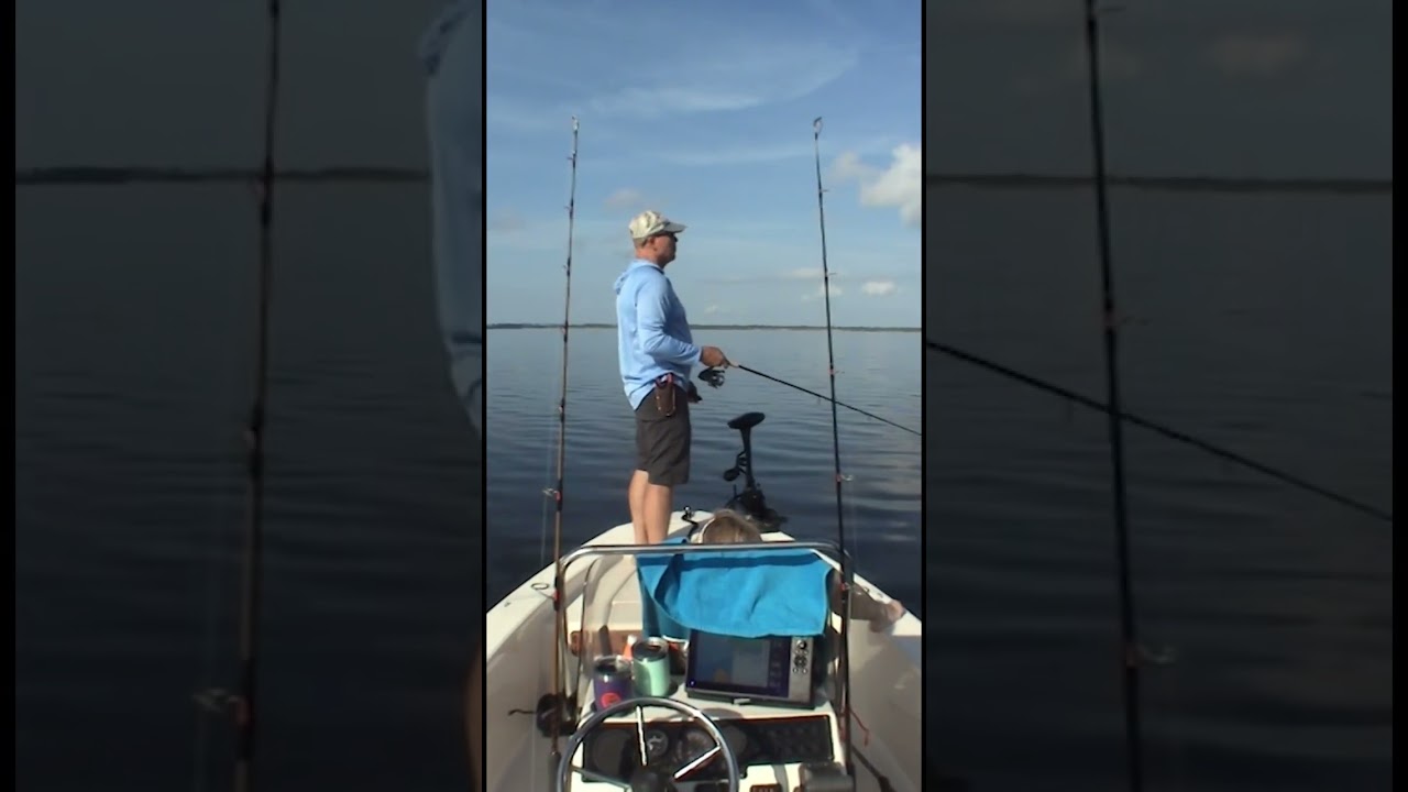 Best $75 I’ve ever spent