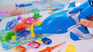 toy asmr | Zuru Robo Alive Shark & Aquarium & Little Live Pet Playset ASMR Satisfying with Unboxing screenshot 5