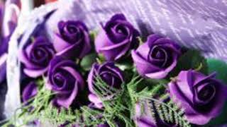 Bui Ben Ben Ben Bui Ben 693027