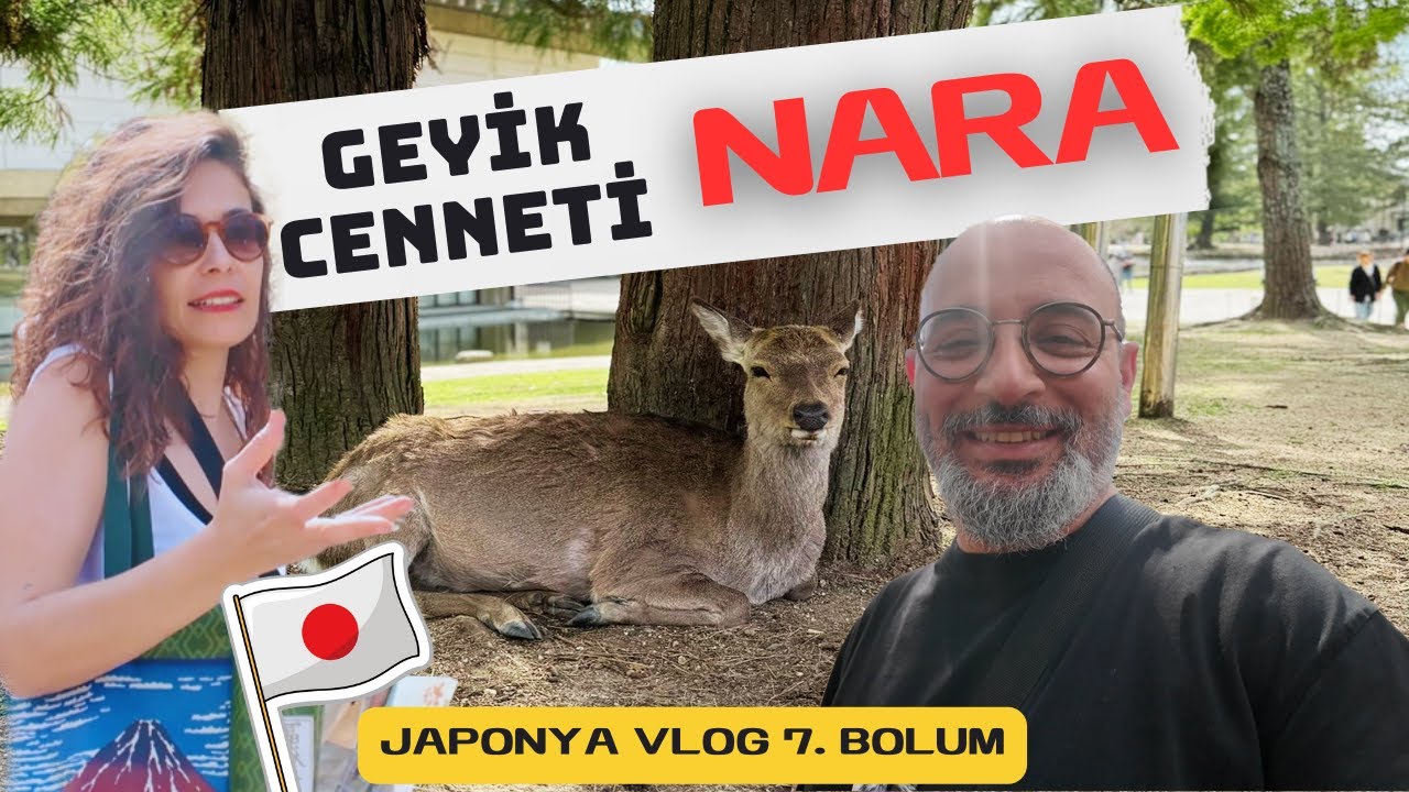 NARA : GEYİKLERLE İÇ İÇE BİR GÜN(Japonya Gezi)