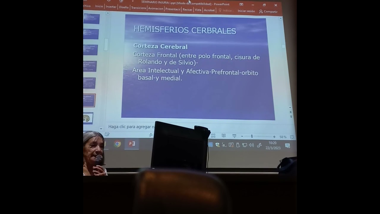 1ER SEMINARIO AREA SALUD MENTAL