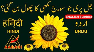 The Story of Sunflower