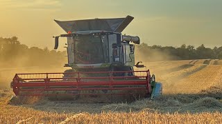 Harvesting Winter sown Barley 2026 Ireland 🇮🇪