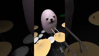 Eggdog Concert