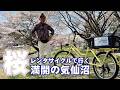 レンタサイクルで行く、桜満開の気仙沼