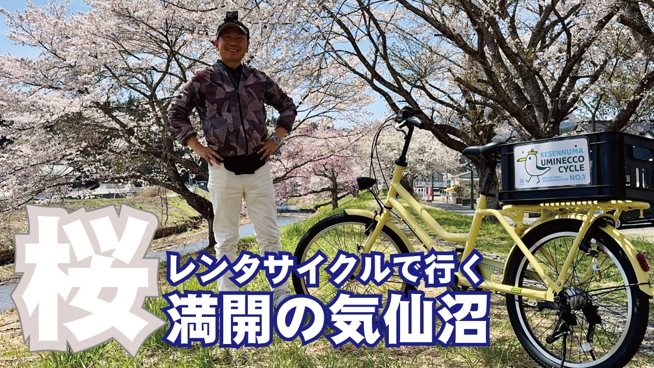レンタサイクルで行く、桜満開の気仙沼