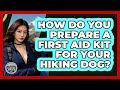 How Do You Prepare A First Aid Kit For Your Hiking Dog? - The Hiker's Advice