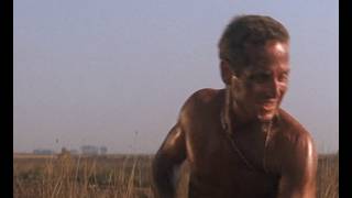 Cool Hand Luke (1967) - 'Tar Sequence' scene
