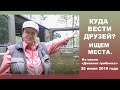 Куда вести друзей?  Ищем места.... Дневник грибника 25 июля 2019 года