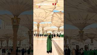 shukr kar khuda ka tu 🌹👍🌹 m u s ansari 💫 #shortsfeed #viralvideo