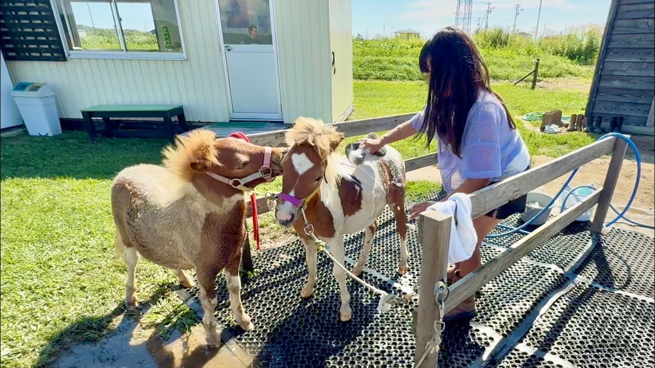 賑わう夏休み　笑顔いっぱいの1日と裏側も覗き見
