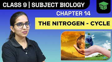 Nitrogen Cycles Class 9 | Natural Resources - Biology Chapter 14