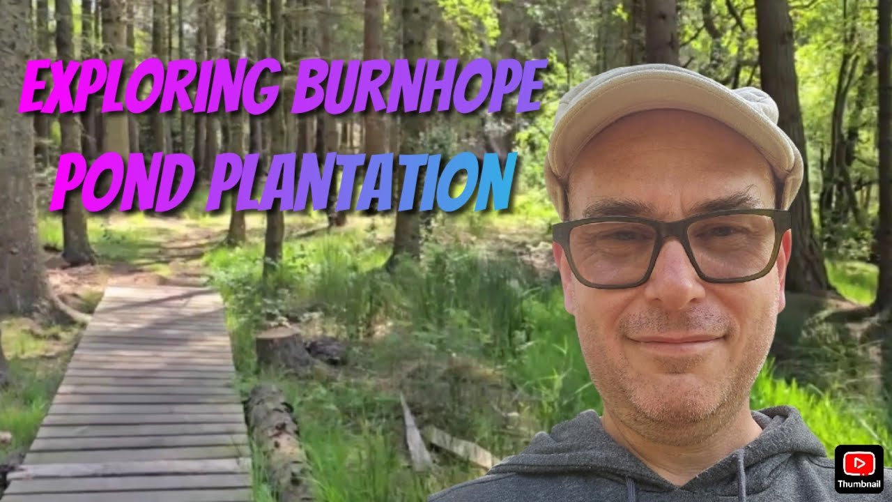 Exploring Burnhope Pond Plantation