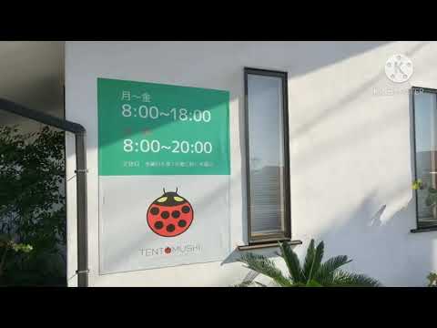 クックドア てんとうむし 岡山県 クックドア てんとうむし 岡山県