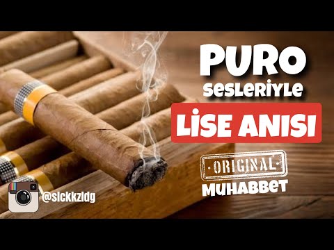 TÜRKÇE ASMR | PURO + LİSE ANISI | YAKIN FISILTI | #asmr #türkçeasmr