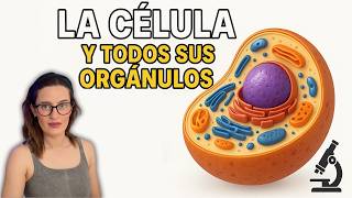La célula explicada fácil 🧫 | Orgánulos, funciones y tipos | ESO y Bachillerato