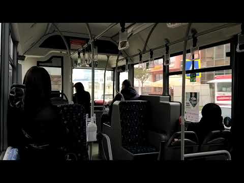 Video: Cum Să Strângeți Autobuzul