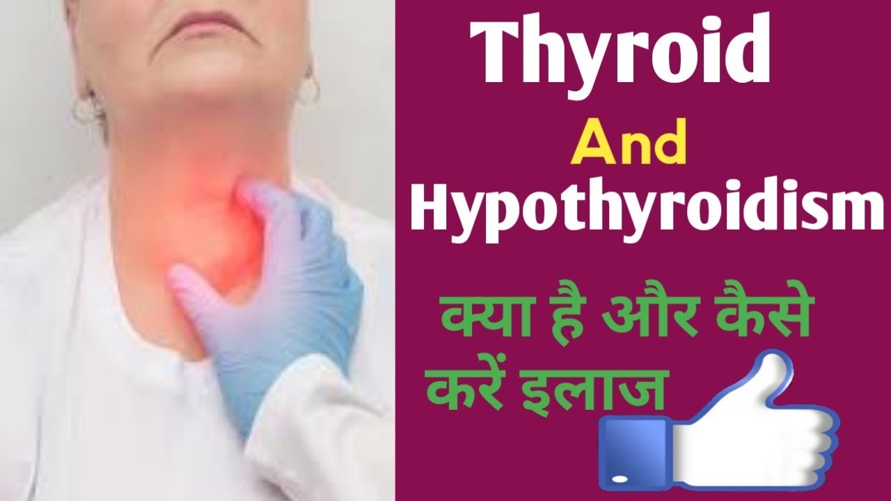 Thyroid And hypothyroidism in hindi थाइरोइड YouTube
