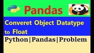 Famous pandas object data type to float|python pandas|data analysis with python Wealth