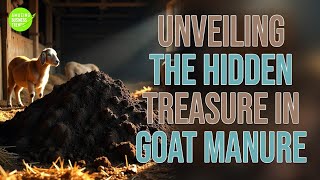 My 30-Day Experiment with Goat Manure Changed My Life!