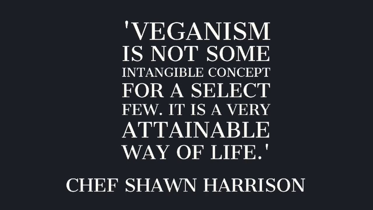 compassion-elevated-youtube