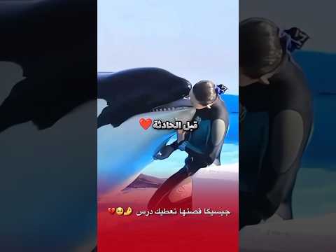 جيسيكا قصتها تعطيك درس  جيسيكا