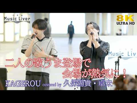 【 歌うま 】二人の歌うま登場で会場が熱気に！ KAGEROU / 清水翔太（ covered by 久保陽貴・卓未 ）日本橋路上ライブ 🎧推奨 高音質 8K映像