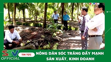 STV - Nông dân Sóc Trăng tự tin, bản lĩnh đẩy mạnh sản xuất, kinh doanh vươn lên khá giàu