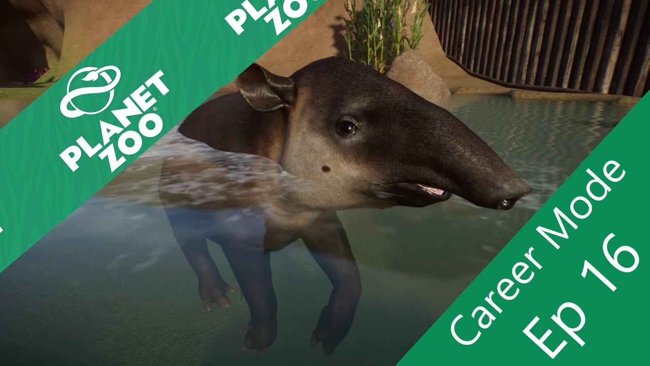 Zoo Career Mode Ep 16 Ostriches And A Gondola YouTube