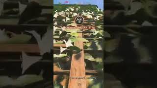 Multi kills - 5x kills, downs nz shredding