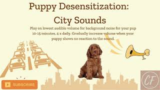 Puppy Desensitization: City Sounds