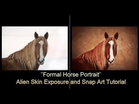 &quot;Formal Horse Portrait&quot; - Alien Skin Software Tutorial