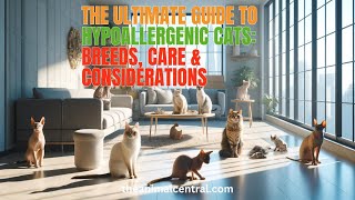 The Ultimate Guide to Hypoallergenic Cats: Breeds & Care